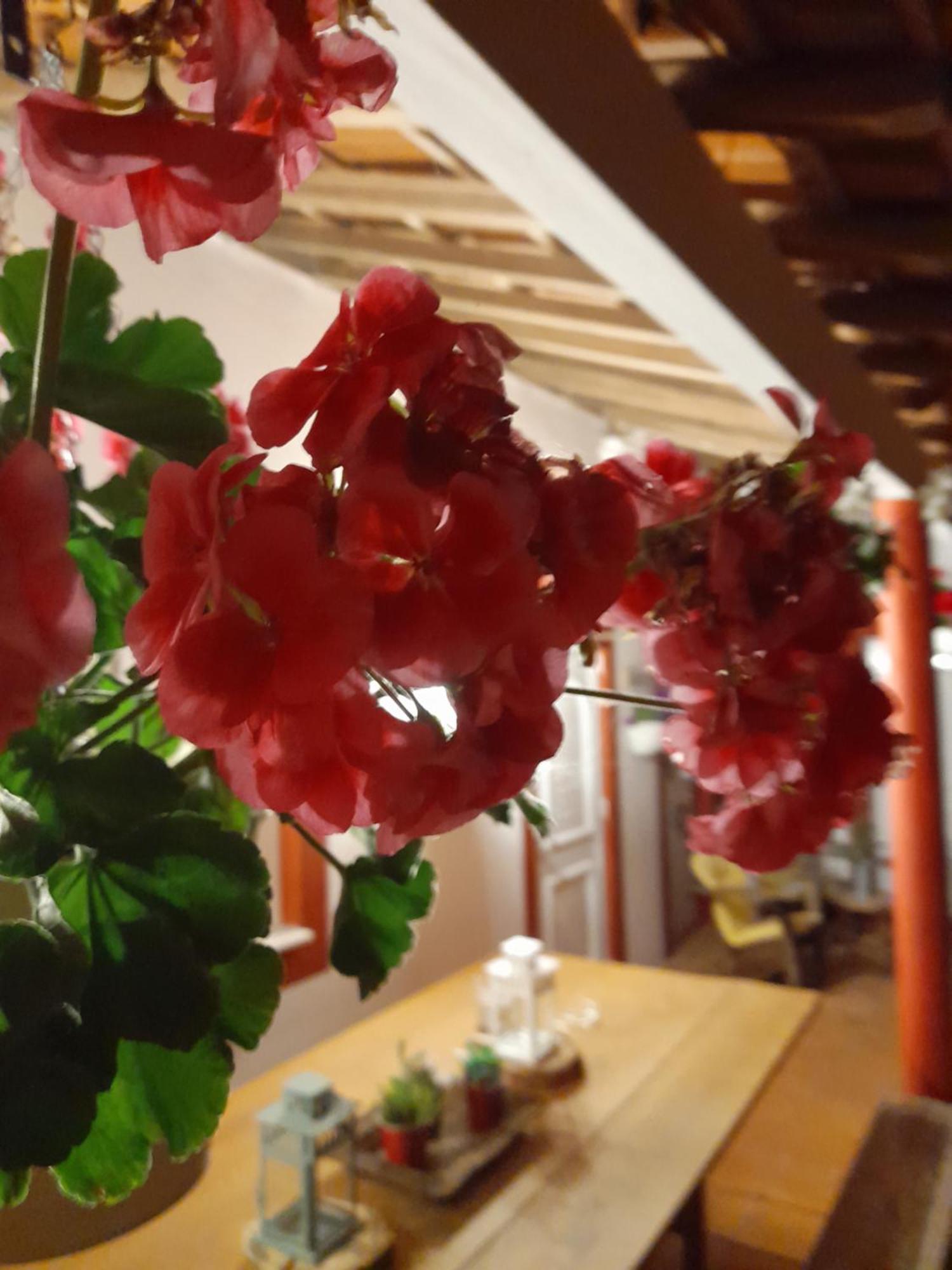 Quinta Da Mainha - Charming Houses 브라가 외부 사진