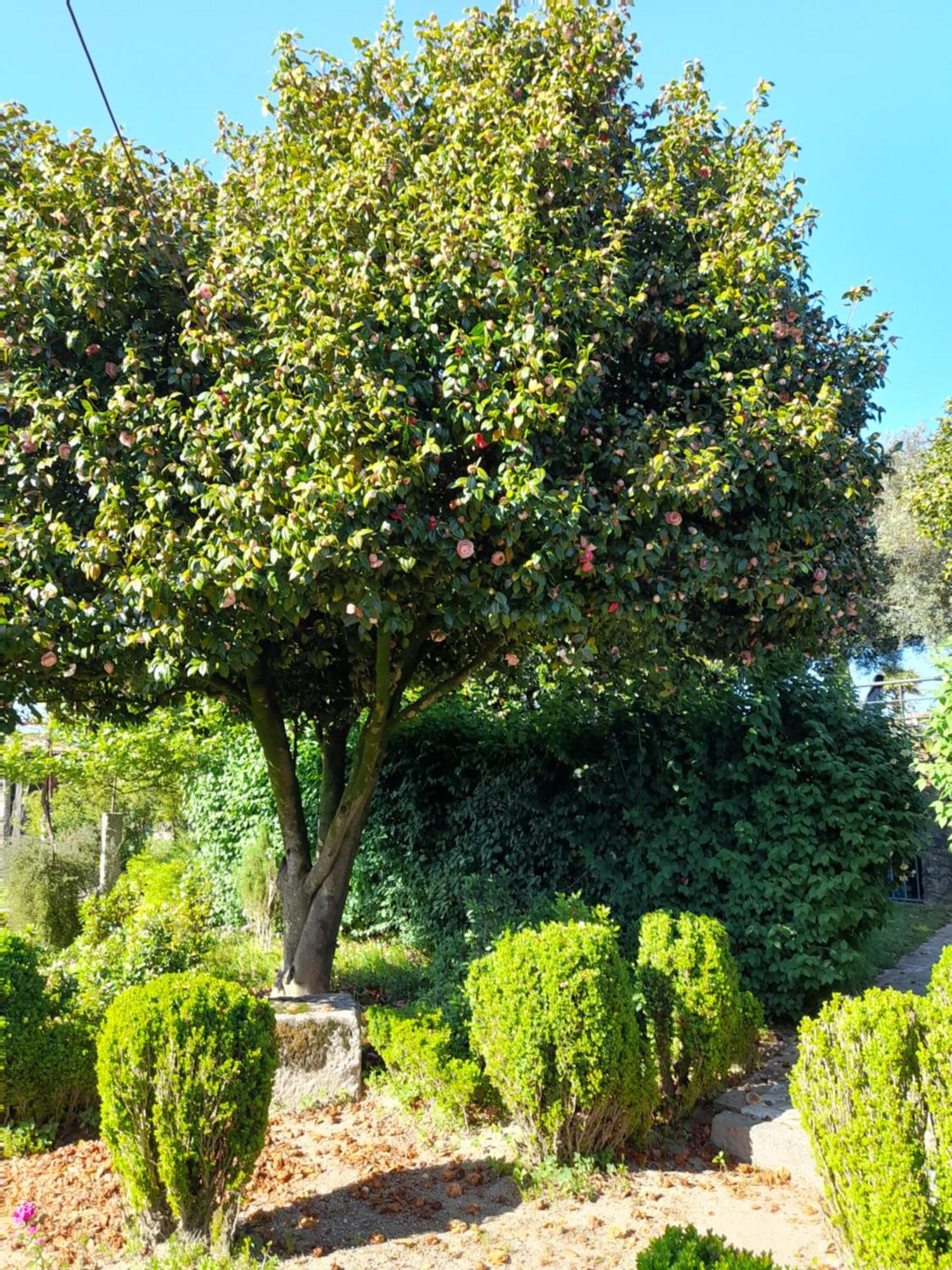 Quinta Da Mainha - Charming Houses 브라가 외부 사진